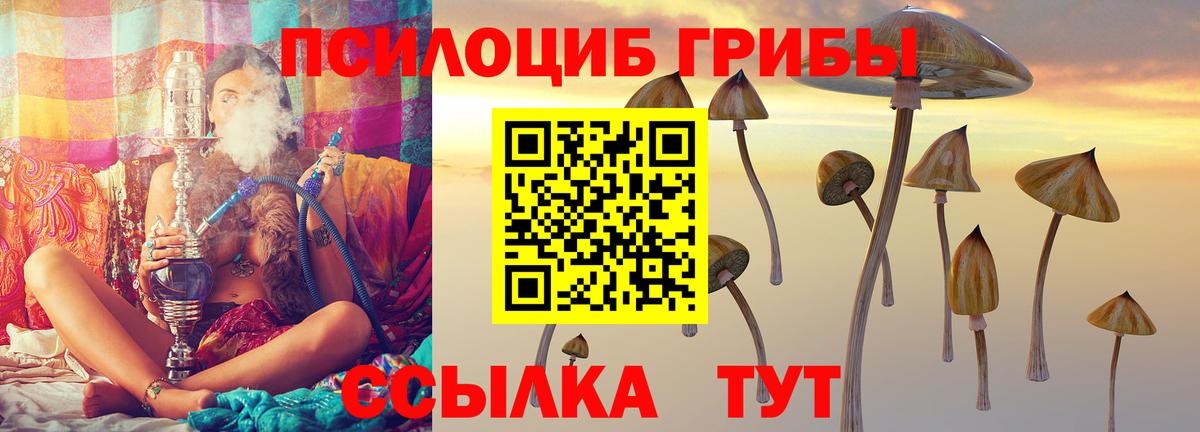 Санкт-Петербург  Псилоцибиновые грибы мухоморы  Вход с VPN 