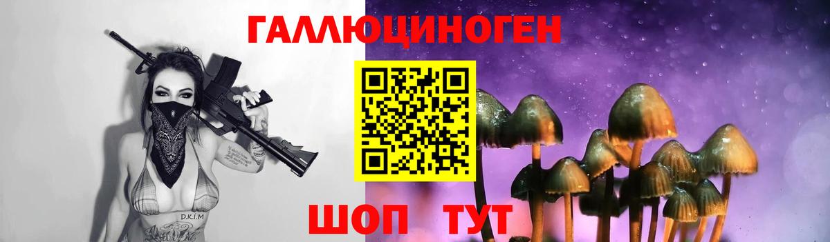 Галлюциногенные грибы GOLDEN TEACHER Санкт-Петербург